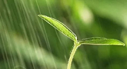初期雨水什么情形下需納入排污許可？